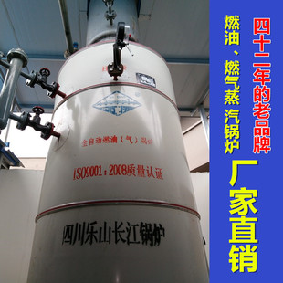 乐山长江全自动燃油燃气0.4、0.7MPa环保蒸汽锅炉洗涤酿造消毒