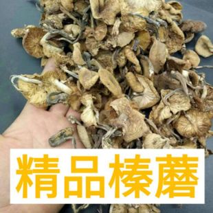 东北野生精品榛蘑  精选榛蘑 250g  2斤包邮