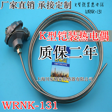 K型铠装热电偶/热电阻/WRNK-131/WZPK-131/电炉测温 温度传感器