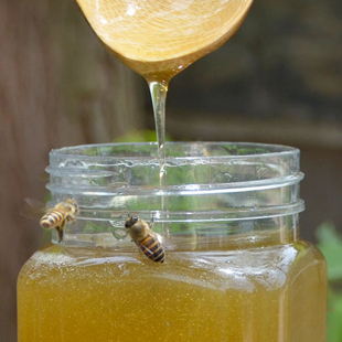 长白山产地野花土段树蜂蜜纯天然农家蜂巢蜜直供可以送检一斤包邮