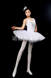 芭蕾舞裙成人专业芭蕾练功服小天鹅演出服tutu吊带舞蹈蓬蓬网纱裙